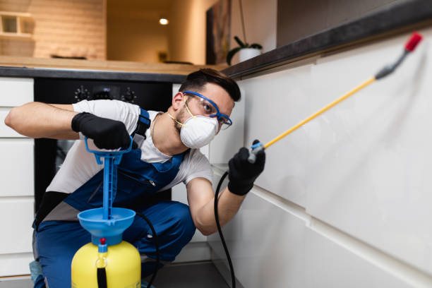 Best Flea Control Services  in Abaster, AL