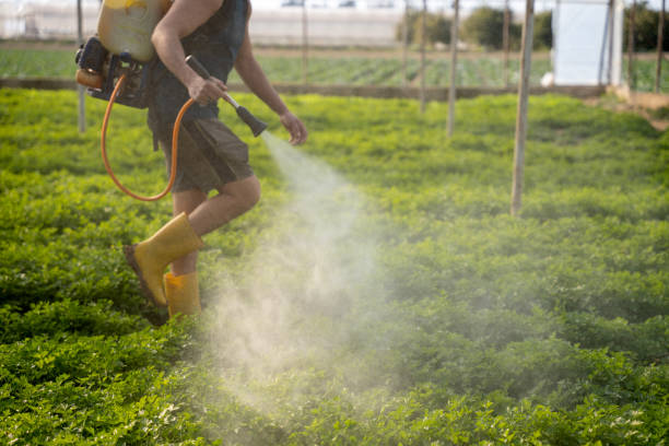 Reliable Alabaster, AL Pest Control Solutions