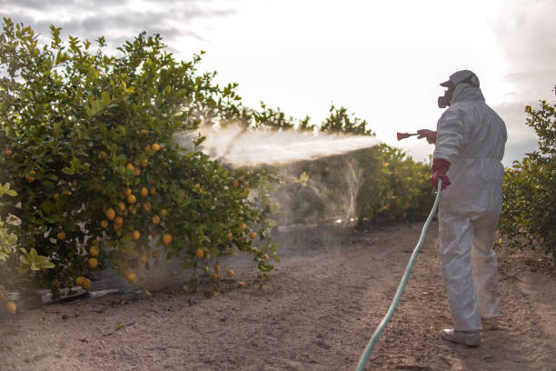 Best Emergency Pest Control  in Abaster, AL