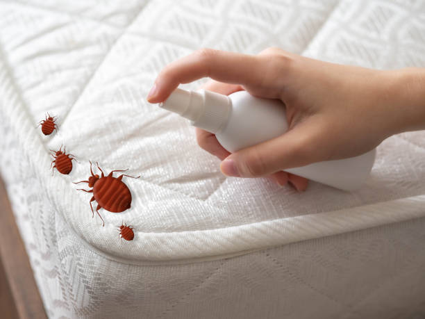 Best Residential Pest Control  in Abaster, AL