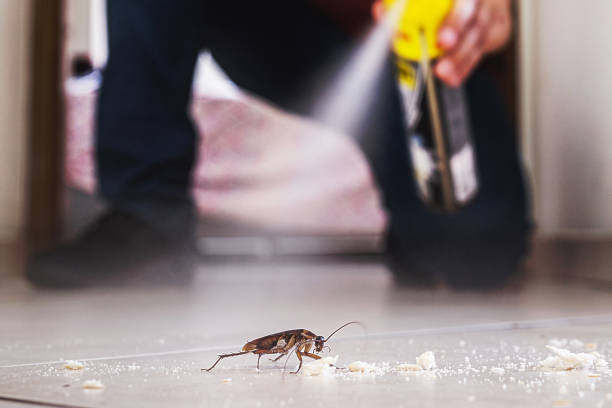 Best Pest Control for Homes  in Abaster, AL