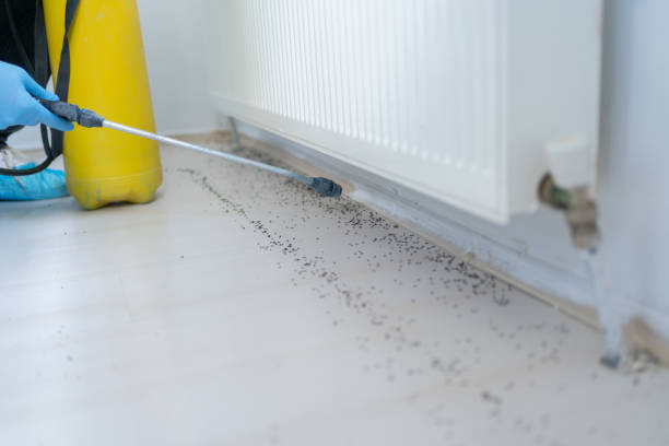 Best Rat Extermination Near Me  in Abaster, AL