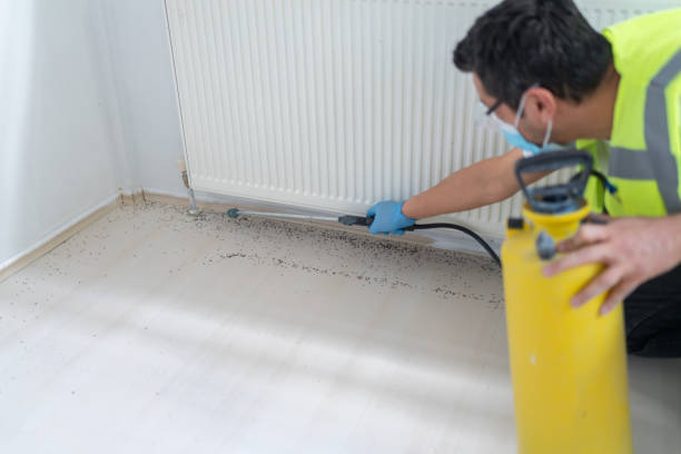 Best Pest Prevention Services  in Abaster, AL