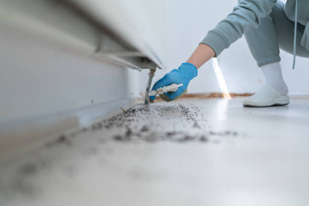 Pest Prevention Services in Alabaster, AL