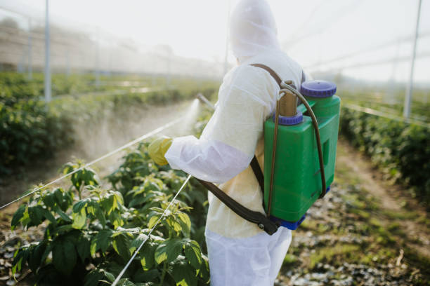 Best Bed Bug Extermination  in Abaster, AL